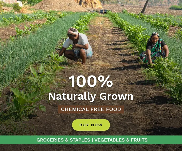 100% Naturally Grown Chemical Free Food - Groceries, Vegetables and Fruits