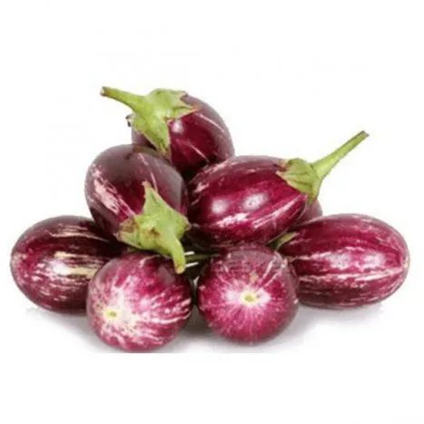 Brinjal purple round