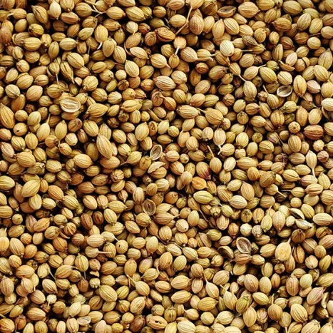 Coriander seeds