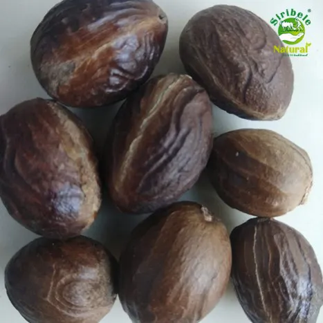 Nutmeg (Jaifal)