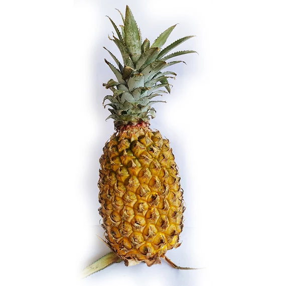 Pineapple Pineapple