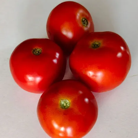 Buy Organic Naati tomato Online in Bangalore