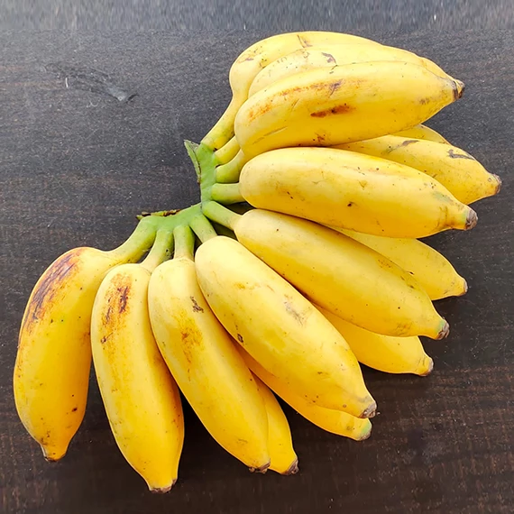 Yelakki banana