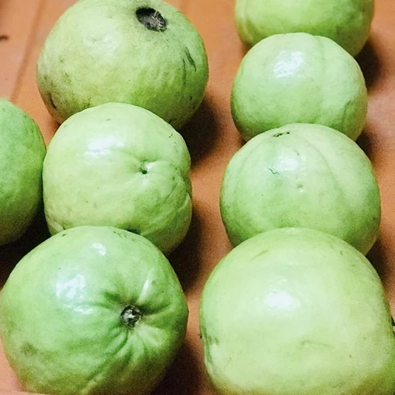 Allahabad safed Guava