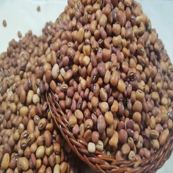 Cow pea