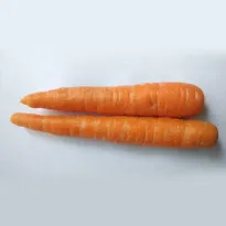 Buy Natural Carrot Online in Bangalore