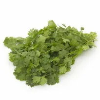 Coriander organic Coriander in bengaluru