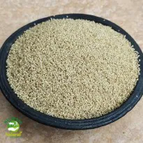 Buy Little millet Online in Bangalore