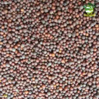 Mustard Buy Natural Mustard Online in Bangalore