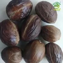 Buy Organic Nutmeg (Jaifal) Online in Bangalore