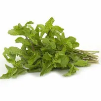 Pudina organic Pudina in bengaluru