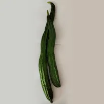 Ridge gourd Buy Ridge gourd Online in Bangalore
