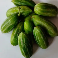 Tondekayi (Coccinia) Buy Organic Tondekayi (Coccinia) Online in Bangalore