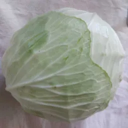 Cabbage Buy Cabbage Online in Bangalore