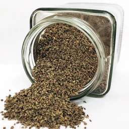 Buy Natural Carom seeds (Ajwain) Online in Bangalore