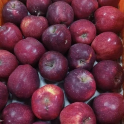 Chemical Free Apple
