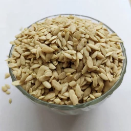 Muskmelon seeds